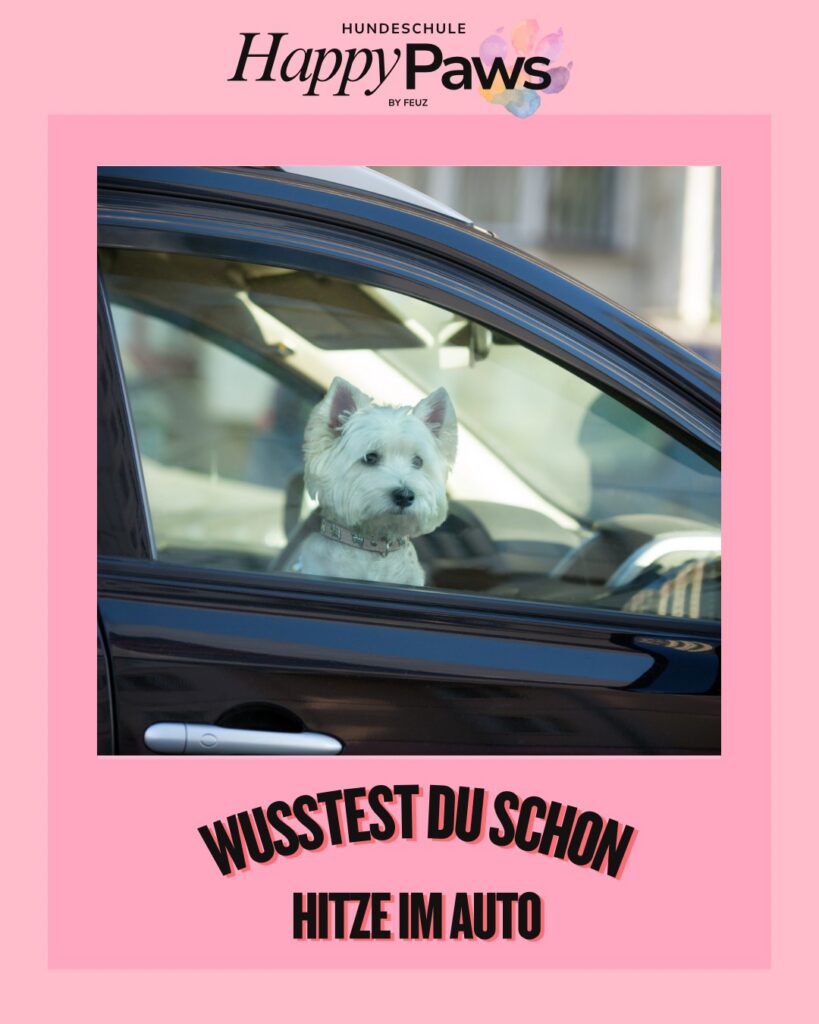 wusstest du schon? wusstest du schon?