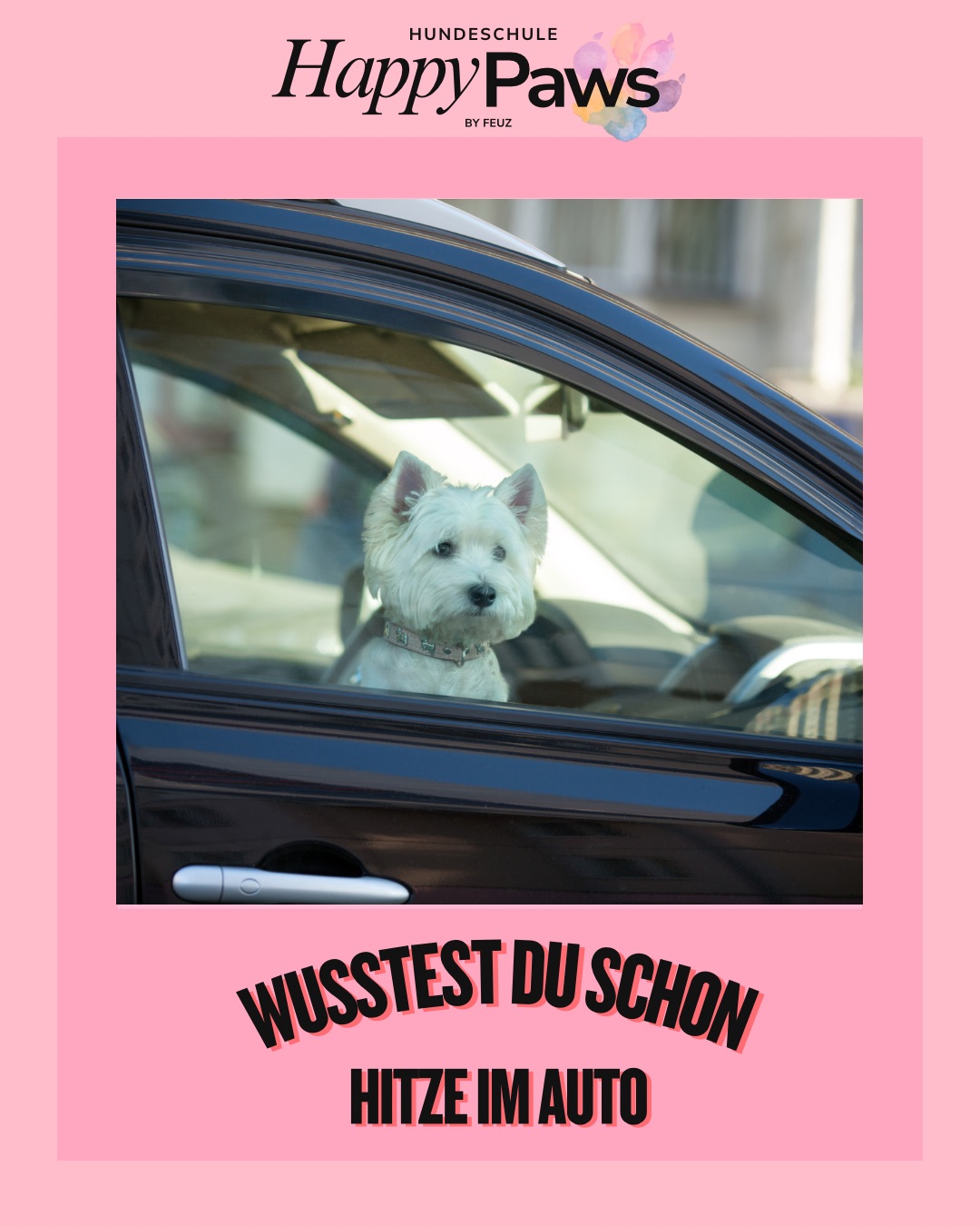 wusstest du schon?